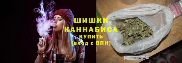 шишки Козельск
