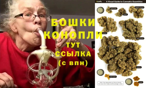 шишки Козельск