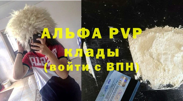шишки Козельск