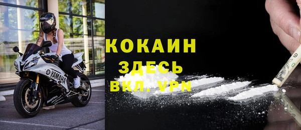 шишки Козельск