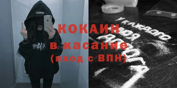 шишки Козельск