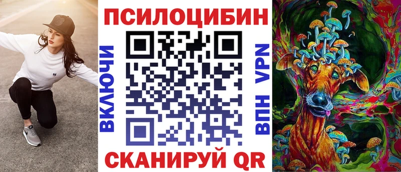 Купить закладки  Кольчугино  Псилоцибиновые грибы мицелий 